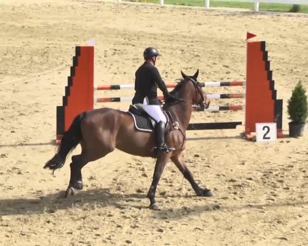 Reitturnier Leutkirch-Diepoldshofen 2018