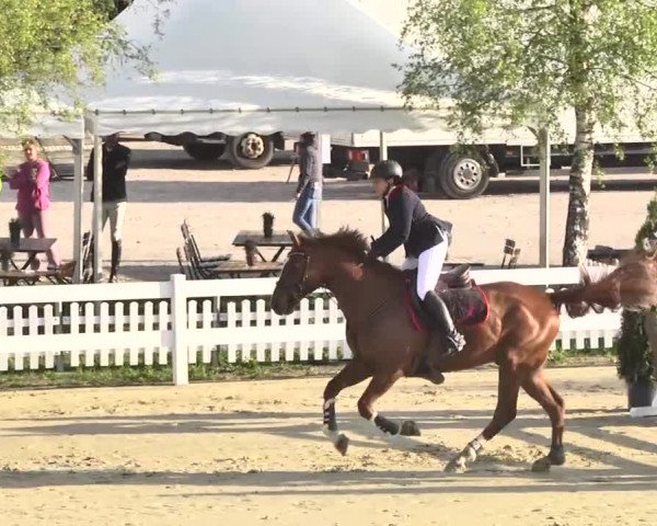 Reitturnier Leutkirch-Diepoldshofen 2018