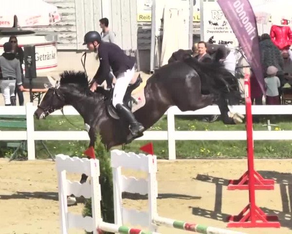 Reitturnier Leutkirch-Diepoldshofen 2018