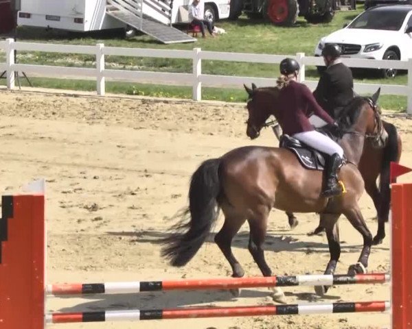 Reitturnier Leutkirch-Diepoldshofen 2018