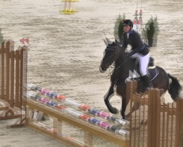 Reitturnier Leutkirch-Diepoldshofen 2018