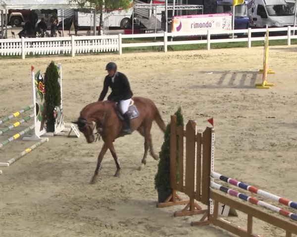 Reitturnier Leutkirch-Diepoldshofen 2018