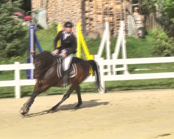 Reitturnier Leutkirch-Diepoldshofen 2018