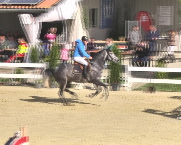 Reitturnier Leutkirch-Diepoldshofen 2018