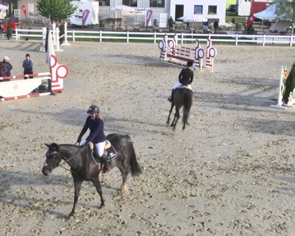 Reitturnier Leutkirch-Diepoldshofen 2018