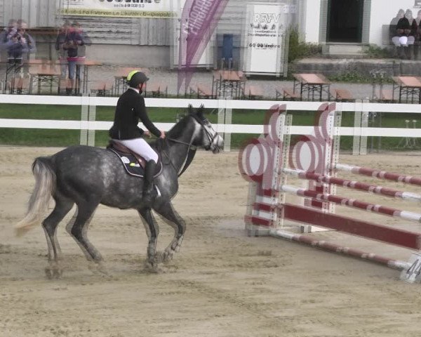 Reitturnier Leutkirch-Diepoldshofen 2018