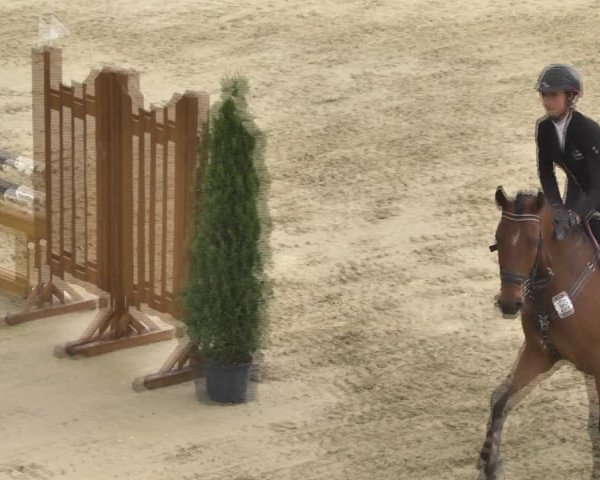 Reitturnier Leutkirch-Diepoldshofen 2018