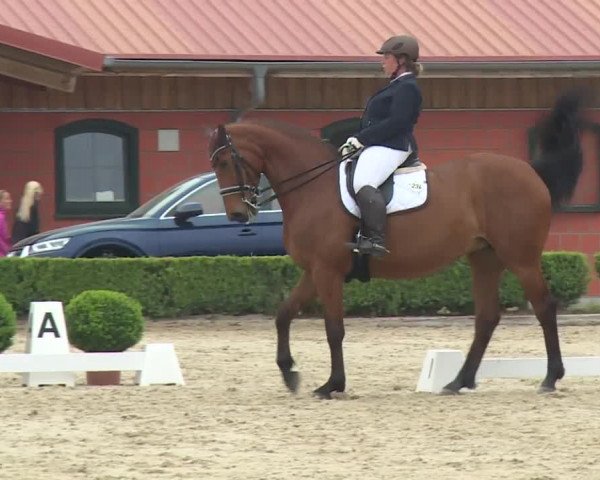 Reitturnier Baldham 2018