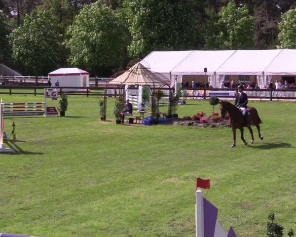 Reitturnier Meppen 2018