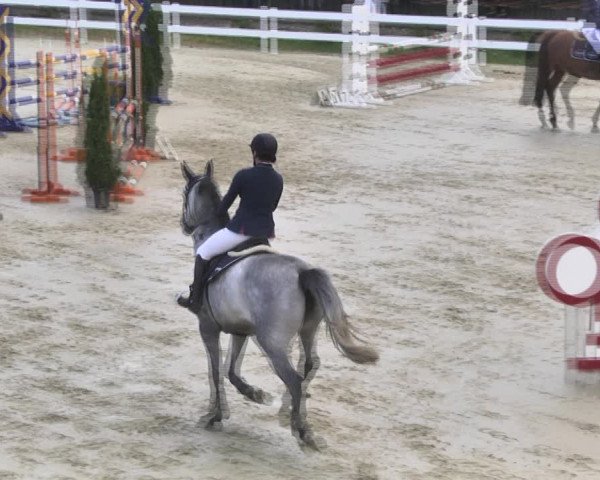 Reitturnier Leutkirch-Diepoldshofen 2018