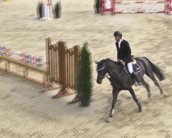 Reitturnier Leutkirch-Diepoldshofen 2018