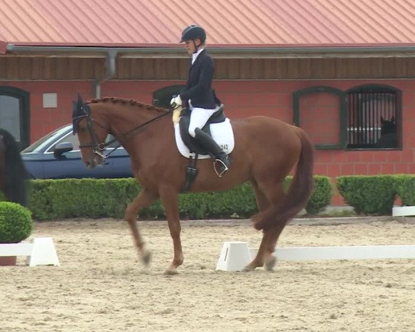 Reitturnier Baldham 2018