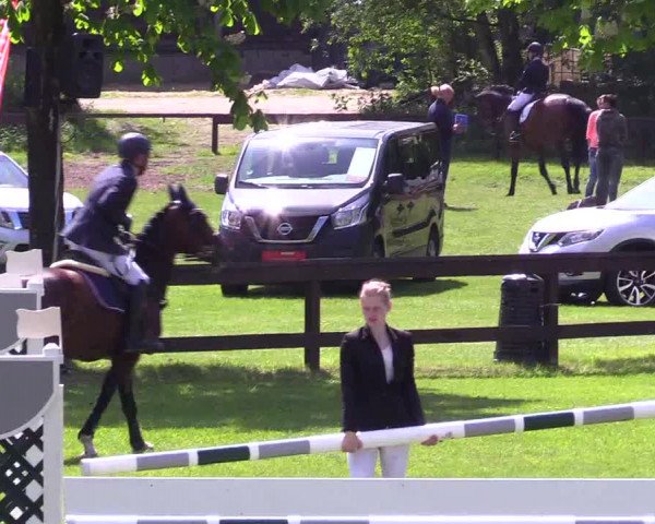 Reitturnier Meppen 2018