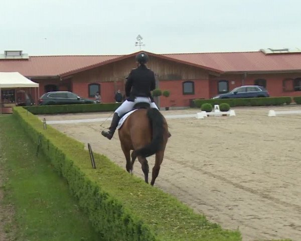 Reitturnier Baldham 2018