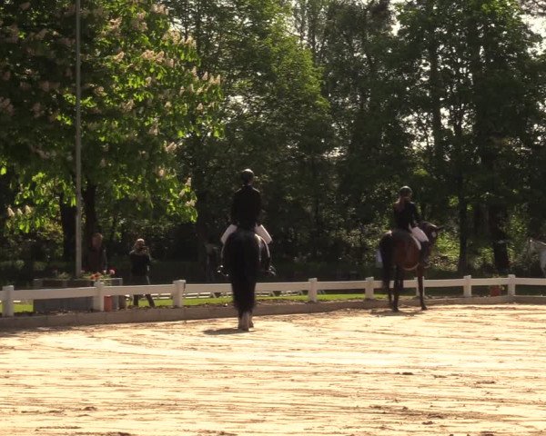 Reitturnier Meppen 2018