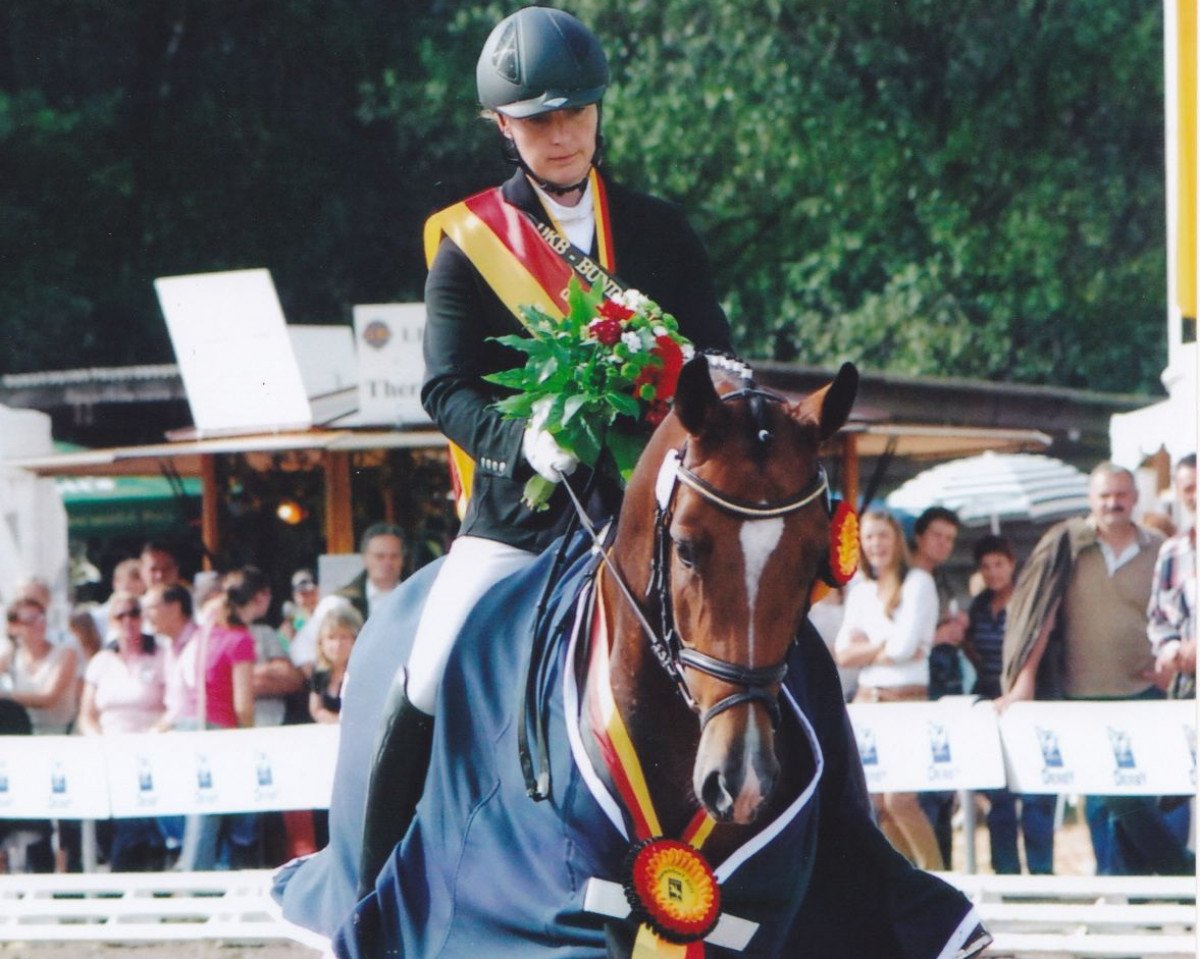 Zuchtstute Cassiopaya 10 (Rheinländer, 2008, von Cassini Boy Junior)