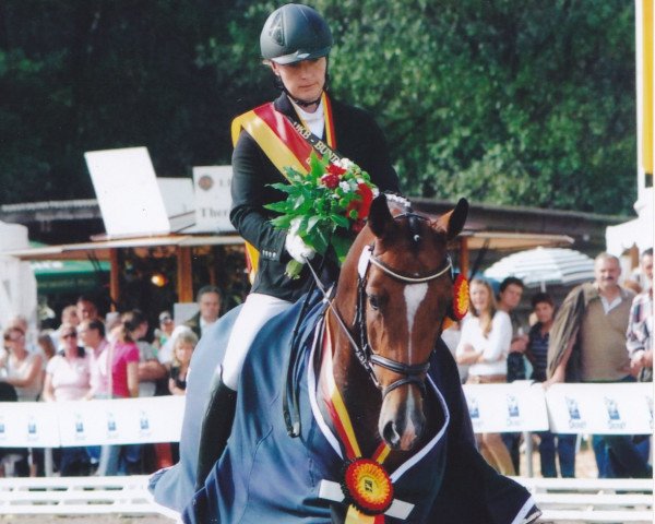 Zuchtstute Cassiopaya 10 (Rheinländer, 2008, von Cassini Boy Junior)