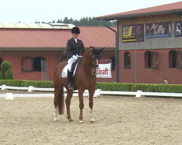Reitturnier Baldham 2018