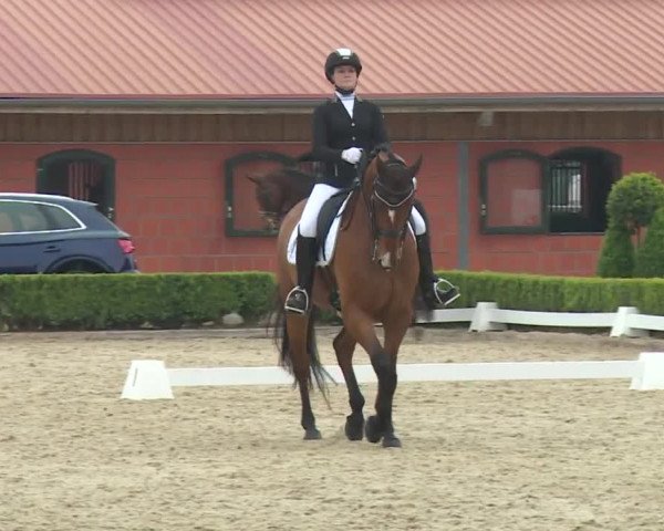 Reitturnier Baldham 2018