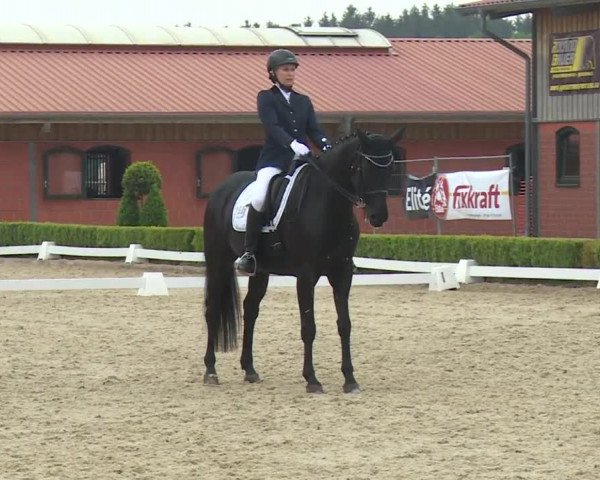 Reitturnier Baldham 2018