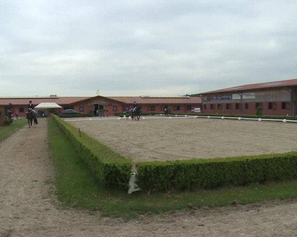 Reitturnier Baldham 2018