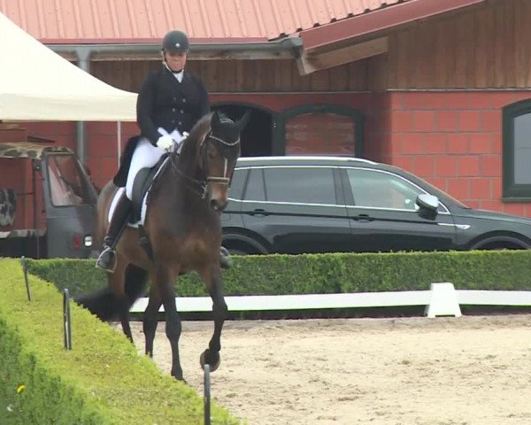 Reitturnier Baldham 2018