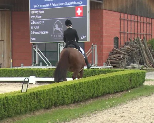Reitturnier Baldham 2018