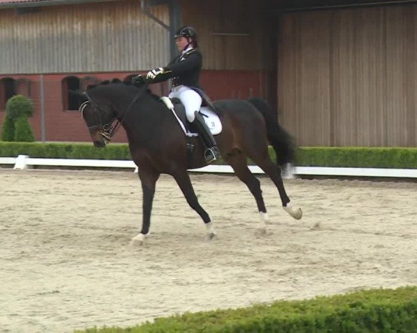 Reitturnier Baldham 2018