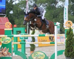 broodmare Bellisima van de Bunte (Belgian Warmblood, 2007, from Larino)
