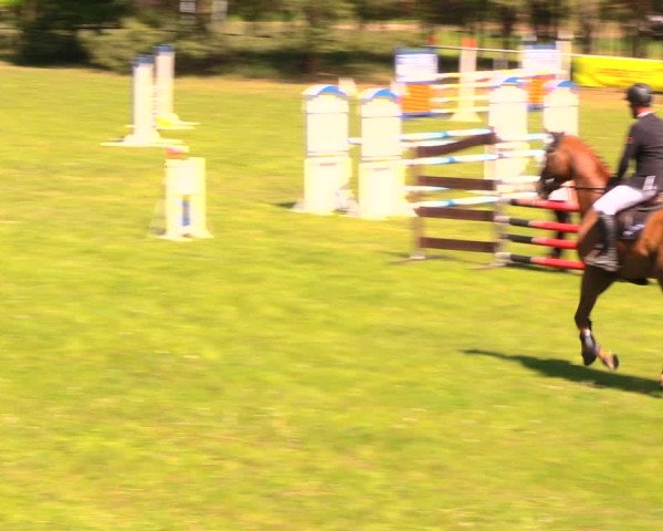 Reitturnier Altbarnim 2018