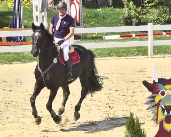 Reitturnier Leutkirch-Diepoldshofen 2018