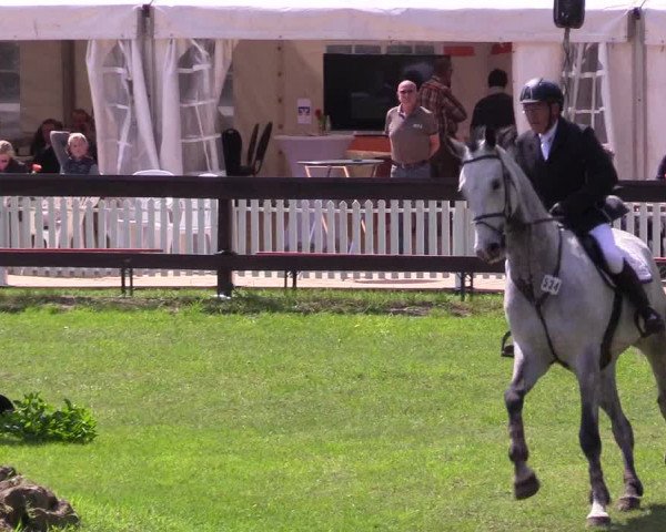 Reitturnier Meppen 2018