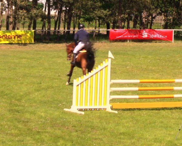 Reitturnier Altbarnim 2018