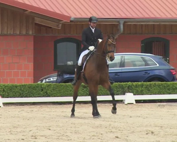 Reitturnier Baldham 2018