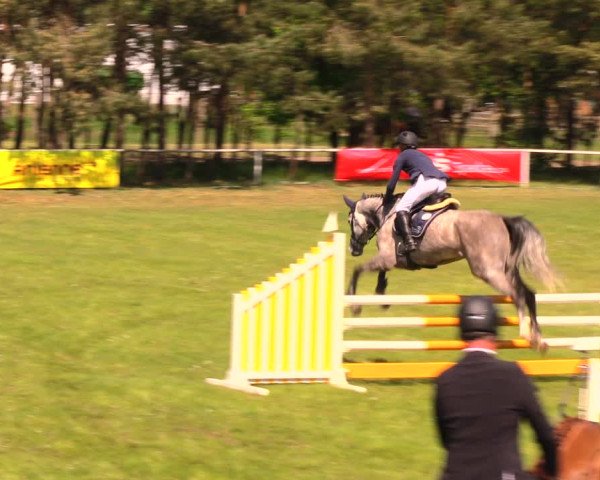 Reitturnier Altbarnim 2018