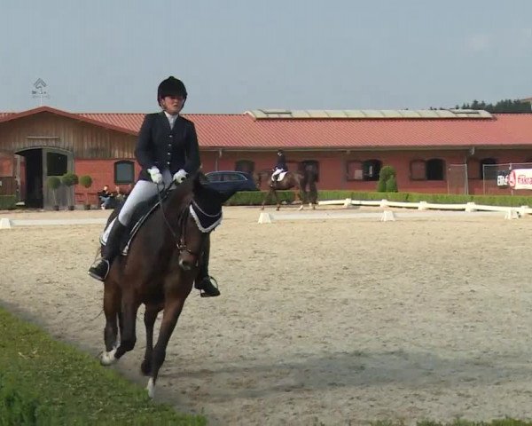 Reitturnier Baldham 2018