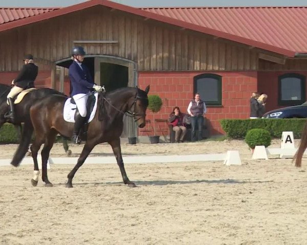 Reitturnier Baldham 2018