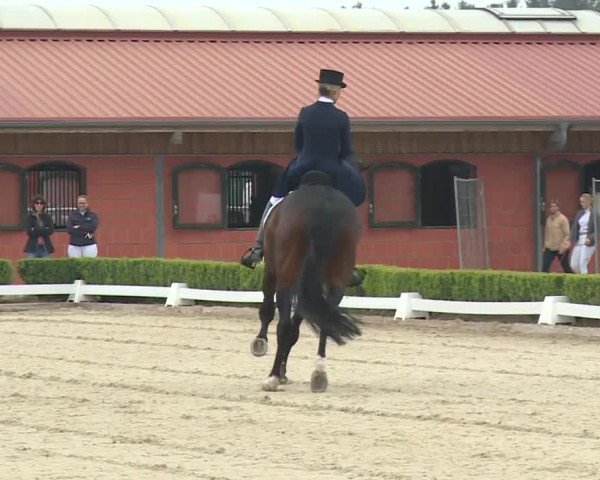 Reitturnier Baldham 2018