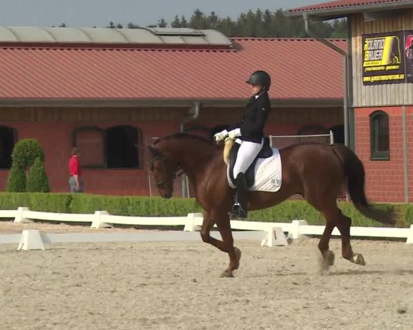 Reitturnier Baldham 2018