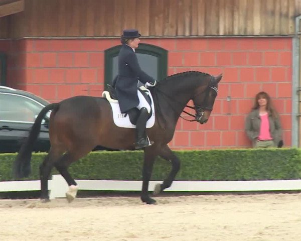 Reitturnier Baldham 2018