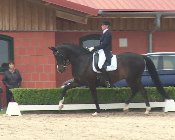 Reitturnier Baldham 2018