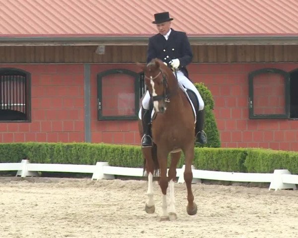 Reitturnier Baldham 2018