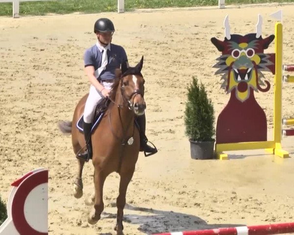 Reitturnier Leutkirch-Diepoldshofen 2018
