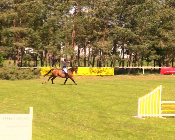 Reitturnier Altbarnim 2018