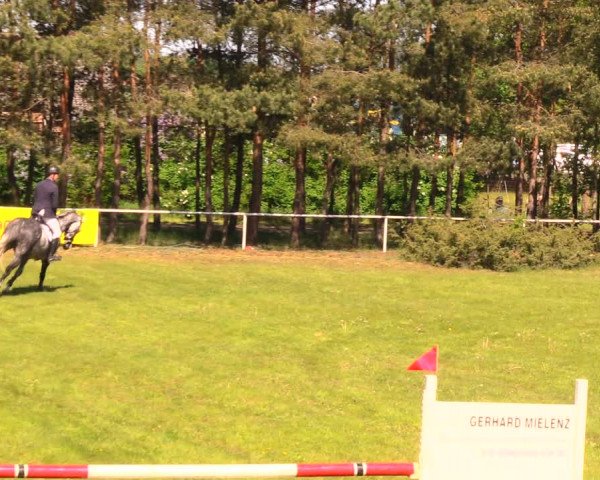 Reitturnier Altbarnim 2018