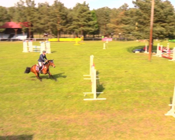 Reitturnier Altbarnim 2018