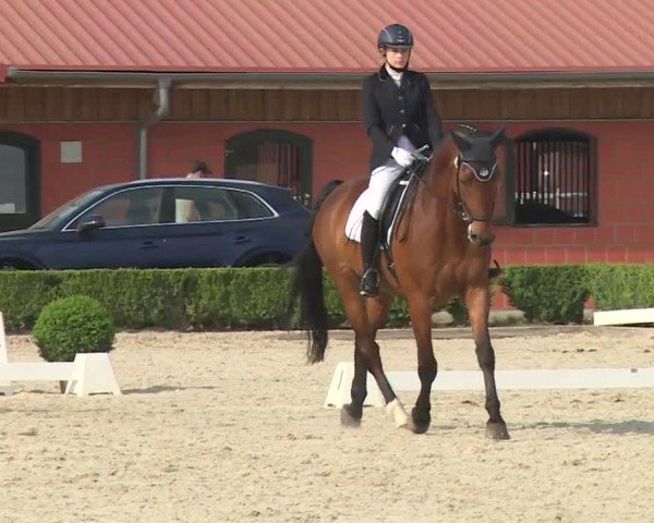 Reitturnier Baldham 2018