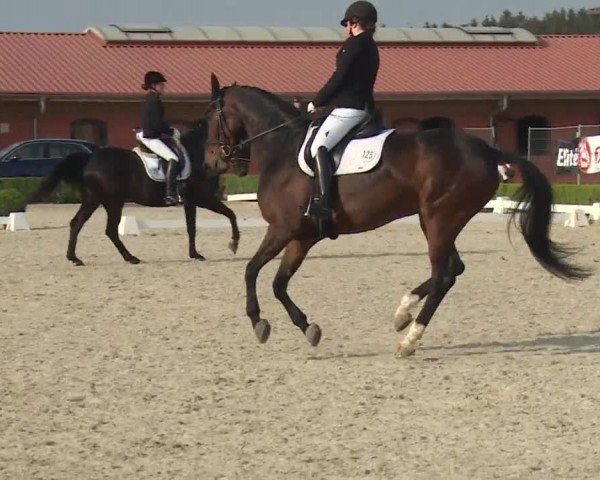 Reitturnier Baldham 2018