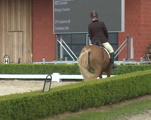 Reitturnier Baldham 2018
