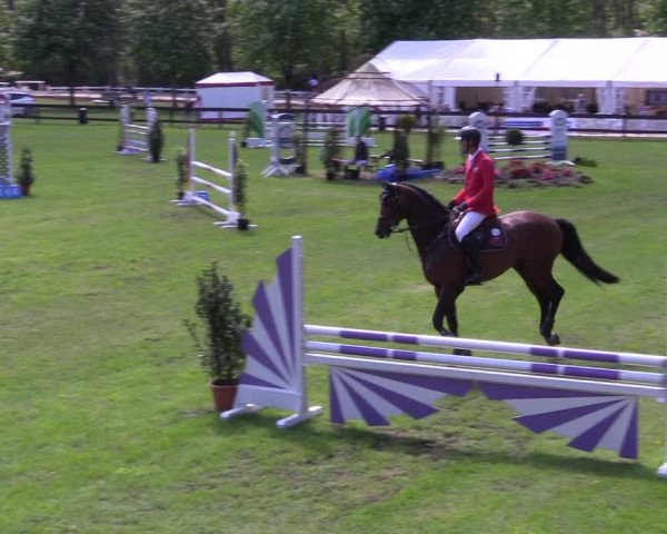 Reitturnier Meppen 2018
